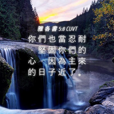Picture 04 - 雅 各 書 5:8 CUVT - 你 們 也 當 忍 耐 ， 堅 固 你 們 的 - Bible Verse Picture