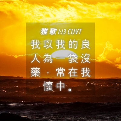 Picture 04 - 雅 歌 1:13 CUVT - 我 以 我 的 良 人 為 一 袋 沒 藥 ， - Bible Verse Picture