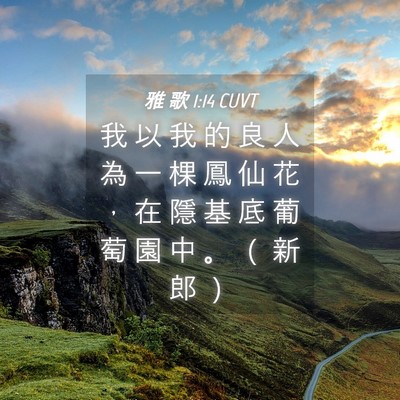 Picture 04 - 雅 歌 1:14 CUVT - 我 以 我 的 良 人 為 一 棵 鳳 仙 花 - Bible Verse Picture