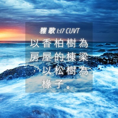 Picture 04 - 雅 歌 1:17 CUVT - 以 香 柏 樹 為 房 屋 的 棟 梁 ， 以 - Bible Verse Picture