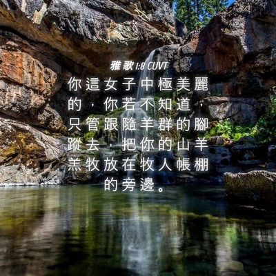 Picture 04 - 雅 歌 1:8 CUVT - 你 這 女 子 中 極 美 麗 的 ， 你 若 - Bible Verse Picture