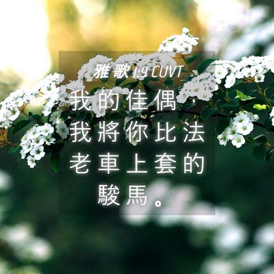 Picture 04 - 雅 歌 1:9 CUVT - 我 的 佳 偶 ， 我 將 你 比 法 老 車 - Bible Verse Picture