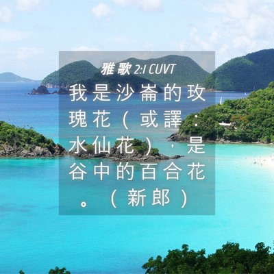 Picture 04 - 雅 歌 2:1 CUVT - 我 是 沙 崙 的 玫 瑰 花 （ 或 譯 ： - Bible Verse Picture