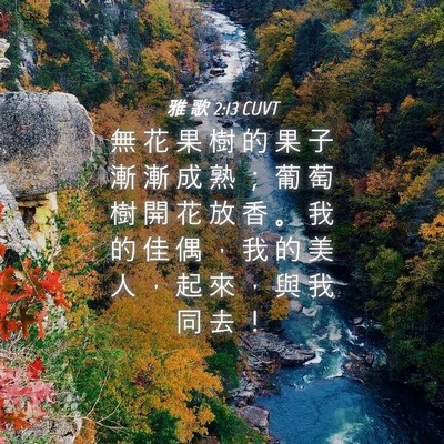 Picture 04 - 雅 歌 2:13 CUVT - 無 花 果 樹 的 果 子 漸 漸 成 熟 ； - Bible Verse Picture