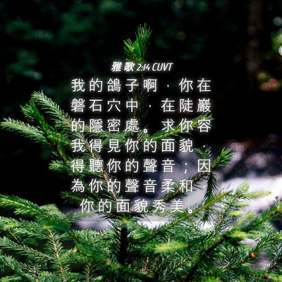 Picture 04 - 雅 歌 2:14 CUVT - 我 的 鴿 子 啊 ， 你 在 磐 石 穴 中 - Bible Verse Picture
