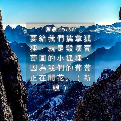 Picture 04 - 雅 歌 2:15 CUVT - 要 給 我 們 擒 拿 狐 狸 ， 就 是 毀 - Bible Verse Picture