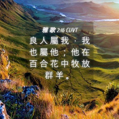 Picture 04 - 雅 歌 2:16 CUVT - 良 人 屬 我 ， 我 也 屬 他 ； 他 在 - Bible Verse Picture