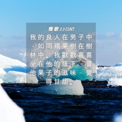 Picture 04 - 雅 歌 2:3 CUVT - 我 的 良 人 在 男 子 中 ， 如 同 蘋 - Bible Verse Picture