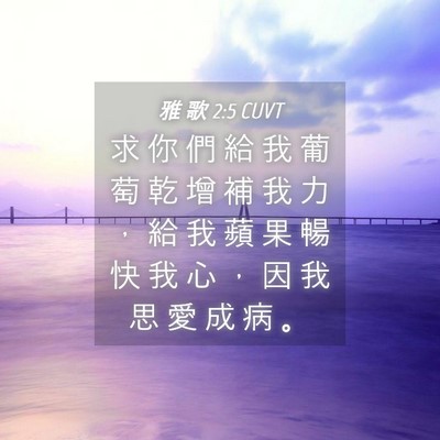 Picture 04 - 雅 歌 2:5 CUVT - 求 你 們 給 我 葡 萄 乾 增 補 我 力 - Bible Verse Picture
