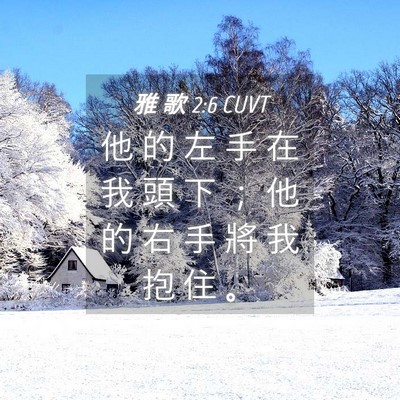 Picture 04 - 雅 歌 2:6 CUVT - 他 的 左 手 在 我 頭 下 ； 他 的 右 - Bible Verse Picture