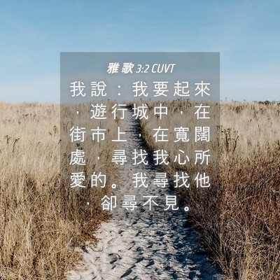Picture 04 - 雅 歌 3:2 CUVT - 我 說 ： 我 要 起 來 ， 遊 行 城 中 - Bible Verse Picture