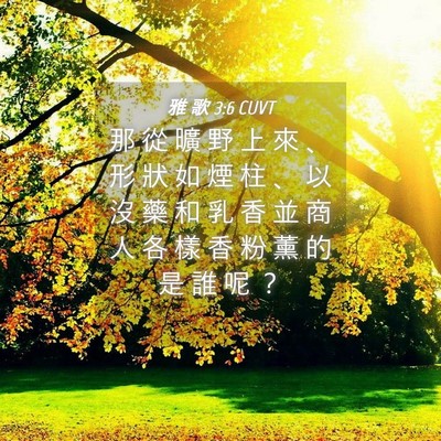 Picture 04 - 雅 歌 3:6 CUVT - 那 從 曠 野 上 來 、 形 狀 如 煙 柱 - Bible Verse Picture