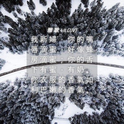 Picture 04 - 雅 歌 4:11 CUVT - 我 新 婦 ， 你 的 嘴 唇 滴 蜜 ， 好 - Bible Verse Picture