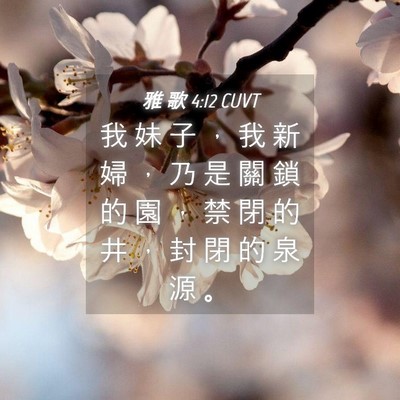 Picture 04 - 雅 歌 4:12 CUVT - 我 妹 子 ， 我 新 婦 ， 乃 是 關 鎖 - Bible Verse Picture