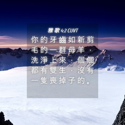 Picture 04 - 雅 歌 4:2 CUVT - 你 的 牙 齒 如 新 剪 毛 的 一 群 母 - Bible Verse Picture