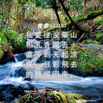 Picture 04 - 雅 歌 4:6 CUVT - 我 要 往 沒 藥 山 和 乳 香 岡 去 ， - Bible Verse Picture
