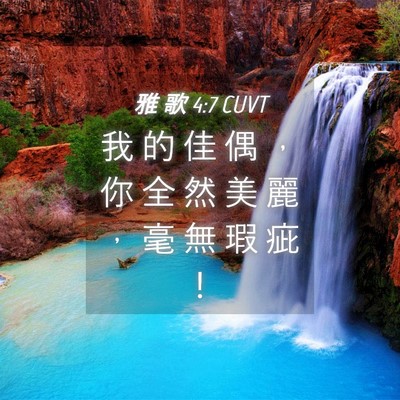 Picture 04 - 雅 歌 4:7 CUVT - 我 的 佳 偶 ， 你 全 然 美 麗 ， 毫 - Bible Verse Picture