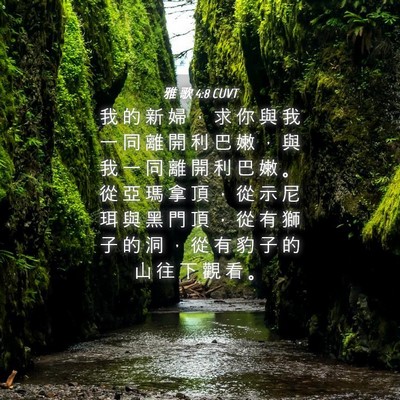 Picture 04 - 雅 歌 4:8 CUVT - 我 的 新 婦 ， 求 你 與 我 一 同 離 - Bible Verse Picture