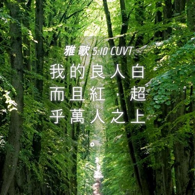 Picture 04 - 雅 歌 5:10 CUVT - 我 的 良 人 白 而 且 紅 ， 超 乎 萬 - Bible Verse Picture