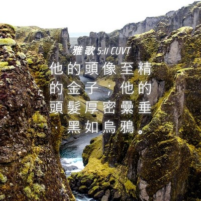 Picture 04 - 雅 歌 5:11 CUVT - 他 的 頭 像 至 精 的 金 子 ； 他 的 - Bible Verse Picture