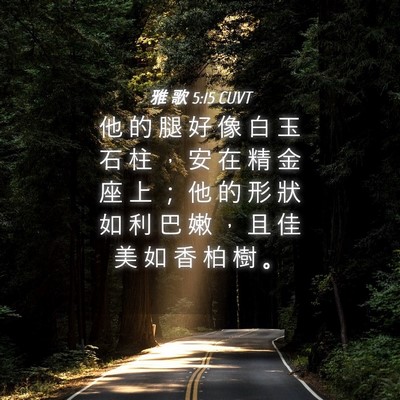 Picture 04 - 雅 歌 5:15 CUVT - 他 的 腿 好 像 白 玉 石 柱 ， 安 在 - Bible Verse Picture