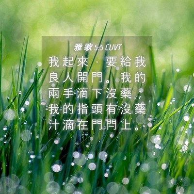 Picture 04 - 雅 歌 5:5 CUVT - 我 起 來 ， 要 給 我 良 人 開 門 。 - Bible Verse Picture