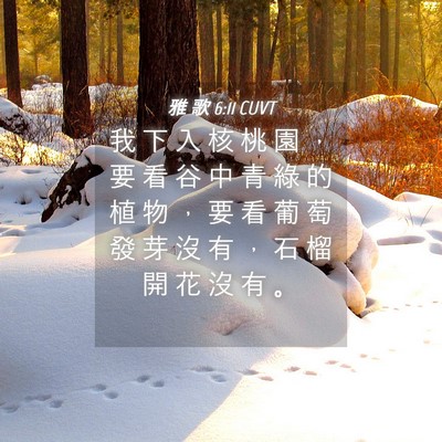 Picture 04 - 雅 歌 6:11 CUVT - 我 下 入 核 桃 園 ， 要 看 谷 中 青 - Bible Verse Picture