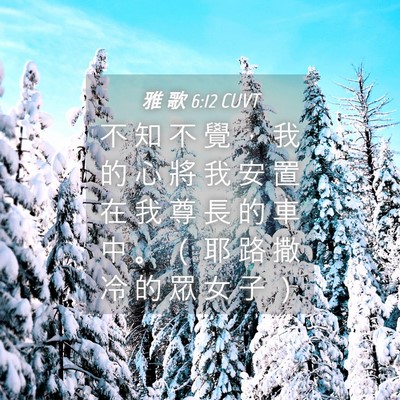Picture 04 - 雅 歌 6:12 CUVT - 不 知 不 覺 ， 我 的 心 將 我 安 置 - Bible Verse Picture