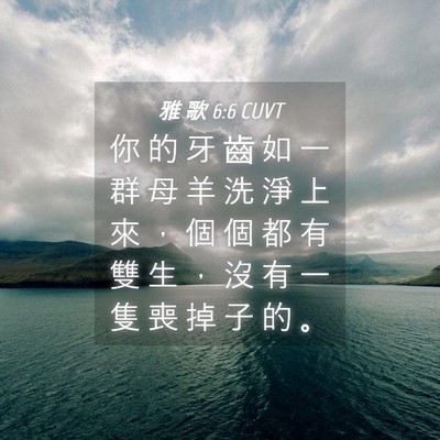 Picture 04 - 雅 歌 6:6 CUVT - 你 的 牙 齒 如 一 群 母 羊 洗 淨 上 - Bible Verse Picture