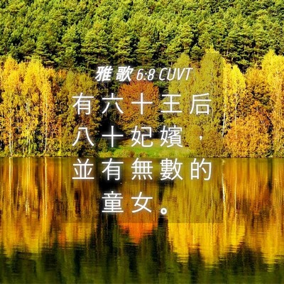 Picture 04 - 雅 歌 6:8 CUVT - 有 六 十 王 后 八 十 妃 嬪 ， 並 有 - Bible Verse Picture