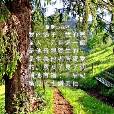Picture 04 - 雅 歌 6:9 CUVT - 我 的 鴿 子 ， 我 的 完 全 人 ， 只 - Bible Verse Picture