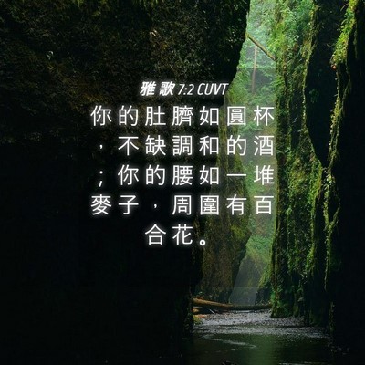 Picture 04 - 雅 歌 7:2 CUVT - 你 的 肚 臍 如 圓 杯 ， 不 缺 調 和 - Bible Verse Picture