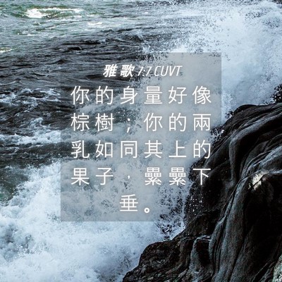 Picture 04 - 雅 歌 7:7 CUVT - 你 的 身 量 好 像 棕 樹 ； 你 的 兩 - Bible Verse Picture