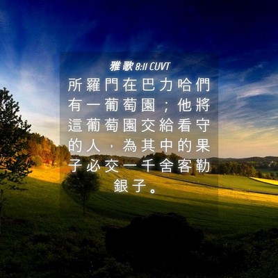 Picture 04 - 雅 歌 8:11 CUVT - 所 羅 門 在 巴 力 哈 們 有 一 葡 萄 - Bible Verse Picture
