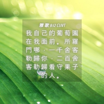 Picture 04 - 雅 歌 8:12 CUVT - 我 自 己 的 葡 萄 園 在 我 面 前 。 - Bible Verse Picture