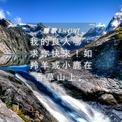 Picture 04 - 雅 歌 8:14 CUVT - 我 的 良 人 哪 ， 求 你 快 來 ！ 如 - Bible Verse Picture