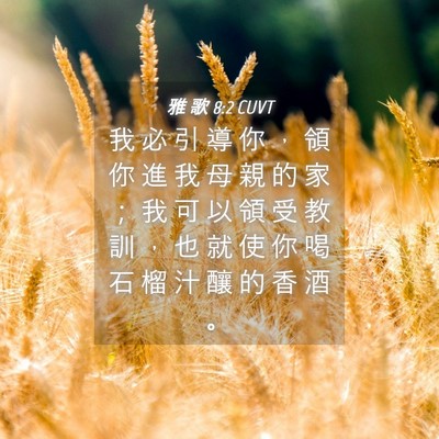 Picture 04 - 雅 歌 8:2 CUVT - 我 必 引 導 你 ， 領 你 進 我 母 親 - Bible Verse Picture