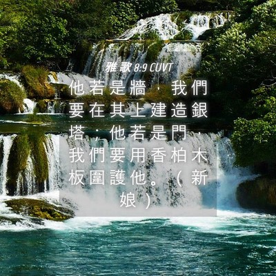 Picture 04 - 雅 歌 8:9 CUVT - 他 若 是 牆 ， 我 們 要 在 其 上 建 - Bible Verse Picture