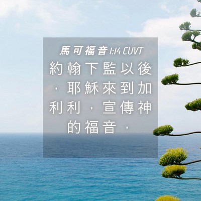 Picture 04 - 馬 可 福 音 1:14 CUVT - 約 翰 下 監 以 後 ， 耶 穌 來 到 加 - Bible Verse Picture