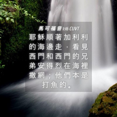 Picture 04 - 馬 可 福 音 1:16 CUVT - 耶 穌 順 著 加 利 利 的 海 邊 走 ， - Bible Verse Picture