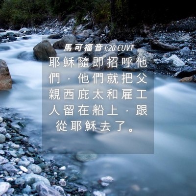 Picture 04 - 馬 可 福 音 1:20 CUVT - 耶 穌 隨 即 招 呼 他 們 ， 他 們 就 - Bible Verse Picture