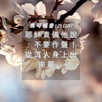 Picture 04 - 馬 可 福 音 1:25 CUVT - 耶 穌 責 備 他 說 ： 不 要 作 聲 ！ - Bible Verse Picture