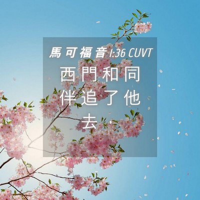 Picture 04 - 馬 可 福 音 1:36 CUVT - 西 門 和 同 伴 追 了 他 去 - Bible Verse Picture