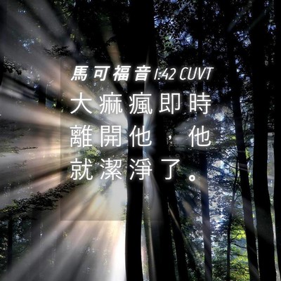Picture 04 - 馬 可 福 音 1:42 CUVT - 大 痲 瘋 即 時 離 開 他 ， 他 就 潔 - Bible Verse Picture