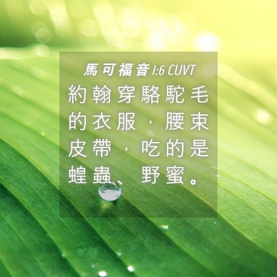 Picture 04 - 馬 可 福 音 1:6 CUVT - 約 翰 穿 駱 駝 毛 的 衣 服 ， 腰 束 - Bible Verse Picture