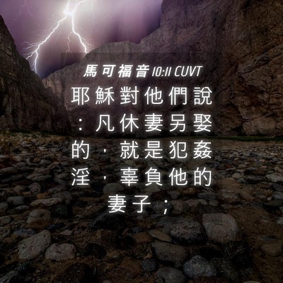 Picture 04 - 馬 可 福 音 10:11 CUVT - 耶 穌 對 他 們 說 ： 凡 休 妻 另 娶 - Bible Verse Picture