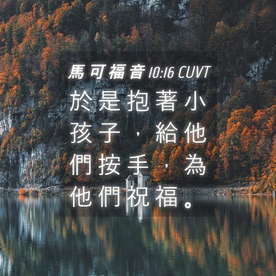 Picture 04 - 馬 可 福 音 10:16 CUVT - 於 是 抱 著 小 孩 子 ， 給 他 們 按 - Bible Verse Picture