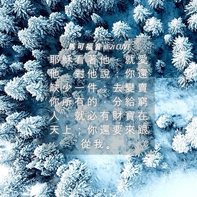 Picture 04 - 馬 可 福 音 10:21 CUVT - 耶 穌 看 著 他 ， 就 愛 他 ， 對 他 - Bible Verse Picture