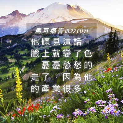 Picture 04 - 馬 可 福 音 10:22 CUVT - 他 聽 見 這 話 ， 臉 上 就 變 了 色 - Bible Verse Picture