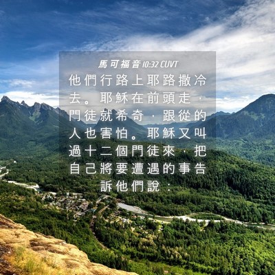 Picture 04 - 馬 可 福 音 10:32 CUVT - 他 們 行 路 上 耶 路 撒 冷 去 。 耶 - Bible Verse Picture